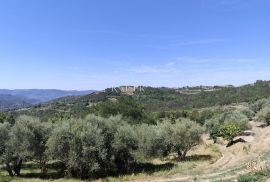 Istra, Buzet - starina s građevinskim zemljištem, Buzet, Haus