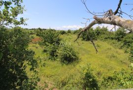 Istra - Poreč, građevinsko zemljište 500 m do mora T1 zona, Poreč, Land