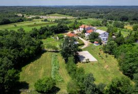 Istra, Žminj - obiteljsko imanje, 2 kuće s bazenima i 1 poslovni prostor, Žminj, Terrain