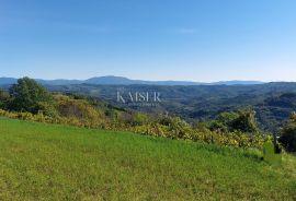 Istra, Motovun okolica, zemljište s građevinskom dozvolom za kuću, Motovun, Terreno