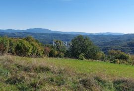 Istra, Motovun okolica, zemljište s građevinskom dozvolom za kuću, Motovun, Terreno