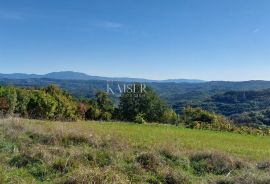 Istra, Motovun okolica, zemljište s građevinskom dozvolom za kuću, Motovun, Terreno