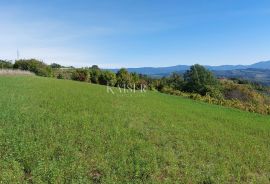 Istra, Motovun okolica, zemljište s građevinskom dozvolom za kuću, Motovun, Terreno