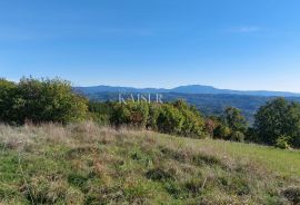 Istra, Motovun okolica, zemljište s građevinskom dozvolom za kuću, Motovun, Terreno