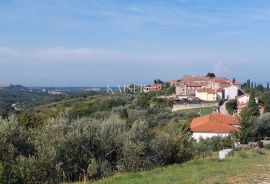 Istra, Momjan - vila s panoramskim pogledom na more i prirodu, Buje, Casa