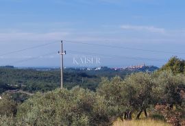 Istra, Momjan - vila s panoramskim pogledom na more i prirodu, Buje, Casa