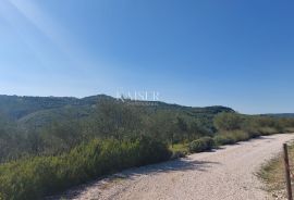 Istra, Motovun - građevinsko zemljište, Motovun, Land