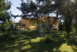 Istra, Pazin - jedinstveno imanje, 42.000 m2, Pazin, Famiglia