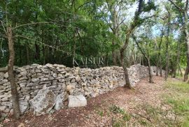 Istra - Poreč, poljoprivredno zemljište u zoni turističke gradnje, Poreč, Tierra