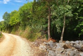 Istra - Poreč, poljoprivredno zemljište u zoni turističke gradnje, Poreč, Tierra