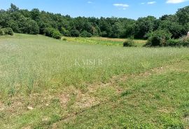 Istra, Tinjan - građevinsko zemljište, Tinjan, Tierra