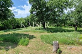 Istra - Lovreč, PRILIKA kamena Istarska kuća sa imanjem 9000m2, Sveti Lovreč, Σπίτι