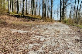 Crni Lug – građevinsko zemljište s prekrasnim pogledom, Delnice, Terreno