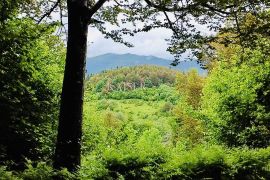 Crni Lug – građevinsko zemljište s prekrasnim pogledom, Delnice, Terreno