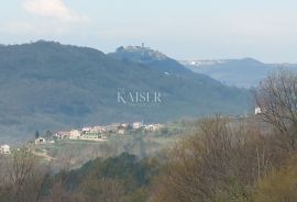 Istra, Motovun-poljoprivredno zemljište s pogledom na Motovun, Motovun, Land