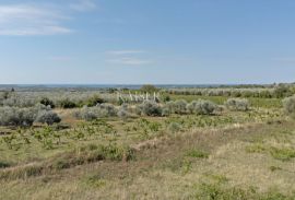 Istra - Vodnjan, luksuzna vila s pogledom na otočje Brijuni, Vodnjan, Haus