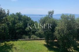 Opatija, Pobri – Jedinstvena obiteljska vila s fantastičnim pogledom, Opatija - Okolica, Haus