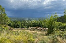 Buzet, Salež – Predivno poljoprivredno zemljište od 33.000 m2 s ostacima velike kuće, Buzet, Terra