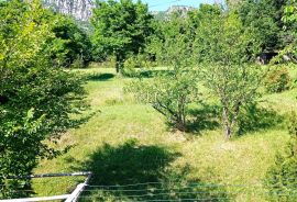 Crikvenica, Bribir - Kuća sa 4 stana i zemljištem, Vinodolska Općina, Casa