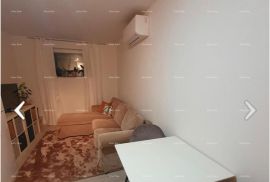 Stan Prostran stan u prizemlju, Brtonigla, Istra., Novigrad, Appartement