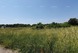 Građevinsko zemljište Građevinsko zemljište u Galižani, Vodnjan, Land