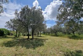 Građevinsko zemljište Prodaje se građevinsko zemljište, 647 m2, u Galižani, Vodnjan, Γη