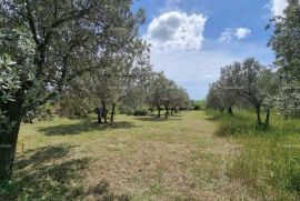 Građevinsko zemljište Prodaje se građevinsko zemljište, 647 m2, u Galižani, Vodnjan, Terreno