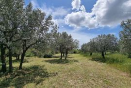 Građevinsko zemljište Prodaje se građevinsko zemljište, 647 m2, u Galižani, Vodnjan, أرض