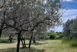 Građevinsko zemljište Prodaje se građevinsko zemljište, 647 m2, u Galižani, Vodnjan, Land