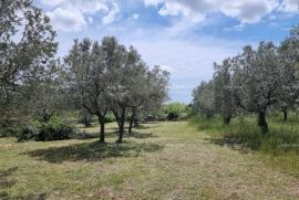 Građevinsko zemljište Prodaje se građevinsko zemljište, 647 m2, u Galižani, Vodnjan, Terreno