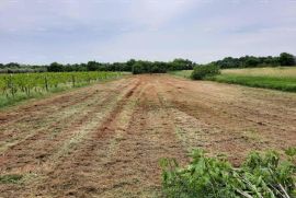 Građevinsko zemljište Prodaja građevinskog zemljišta, Muntić, Ližnjan, Terrain