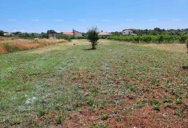 Građevinsko zemljište Prodaja građevinskog zemljišta, Muntić, Ližnjan, Land