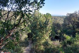 ISTRA, KAVRAN, POLJOPRIVREDNO ZEMLJIŠTE, 150 M DO MORA, Marčana, Land