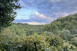 Kuća Prodaje se prekrasna stancija, okružena šumom i vinogradima, s pogledom na Gračišće i Učku!, Gračišće, Σπίτι