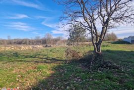 ISTRA, VREĆARI, GRAĐEVINSKO ZEMLJIŠTE, 570 M2, Sveta Nedelja, Land