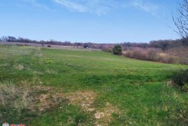 ISTRA, KANFANAR - BARAT, GRAĐEVINSKO ZEMLJIŠTE, Kanfanar, Land