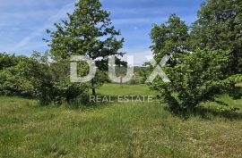 ISTRA, ROVINJ - Kućica od 40 m2 na 1.042 m2 građevinskog zemljišta, Rovinj, House