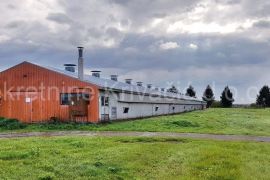 FARMA KOKA NESILICA, Magadenovac, Gewerbeimmobilie