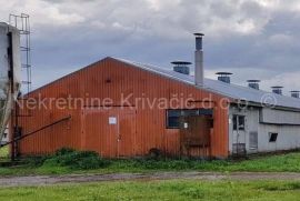 FARMA KOKA NESILICA, Magadenovac, Gewerbeimmobilie