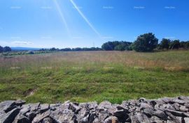 Poljoprivredno zemljište Prodaje se poljoprivredno zemljište, Barban, Barban, Land