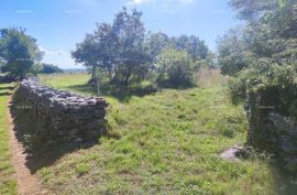 Poljoprivredno zemljište Prodaje se poljoprivredno zemljište, Barban, Barban, Land