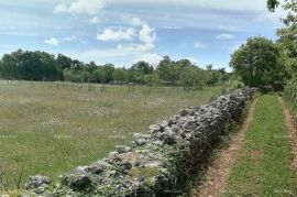 Poljoprivredno zemljište Prodaje se poljoprivredno zemljište, Barban, Barban, Land