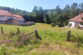 Aranđelovac, imanje - 570m2, 4.6ha ID#1791, Aranđelovac, Ev