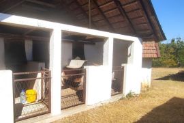 Aranđelovac, imanje - 570m2, 4.6ha ID#1791, Aranđelovac, Ev