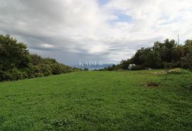 Istra, Rabac - kuće 235 m2 na imanju od 9.560 m2, Labin, Ev