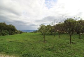 Istra, Rabac - kuće 235 m2 na imanju od 9.560 m2, Labin, Kuća