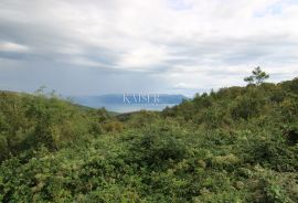 Istra, Rabac - kuće 235 m2 na imanju od 9.560 m2, Labin, Ev