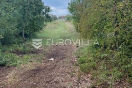 Istra, Svetvinčenat - građevinsko zemljište 500 m2 s privatnim putem, blizina infrastrukture, Svetvinčenat, Land