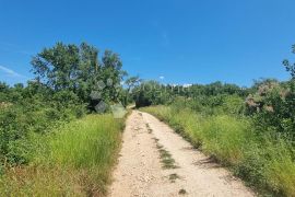 Poljopreivredno zemljište u Taru, Poreč, Land