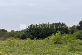 Istra, Žminj - građevinsko zemljište 500 m2 s ishodovanom građevinskom dozvolom, Žminj, Terra